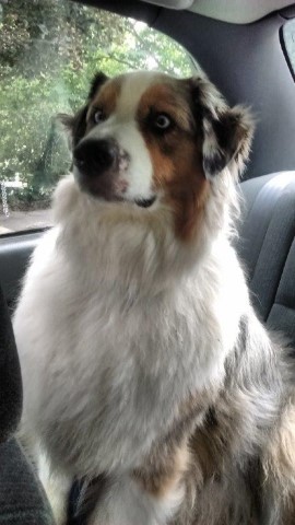 Are We There Yet